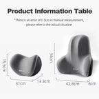 Instant Comfort Car Neck & Lumbar Pillow
